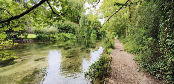 The Itchen Way at Shawford
